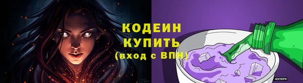 стаф Покачи