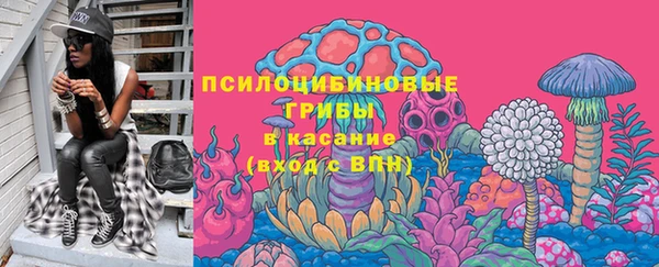 ECSTASY Корсаков