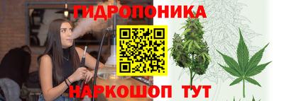ECSTASY Волжск
