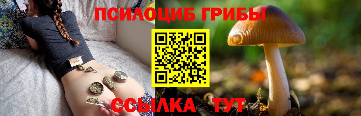 Череповец  Псилоцибиновые грибы мухоморы  Галлюциногенные грибы мухоморы  Вход с VPN 